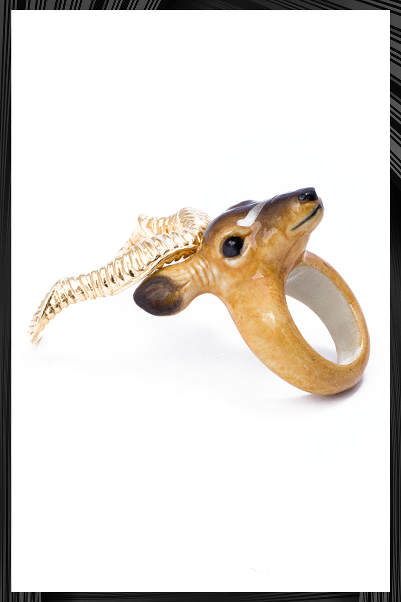 Kudu Bull Ring | Free Delivery - Quick Shipping